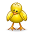 :cute-chick: