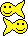 :fish: